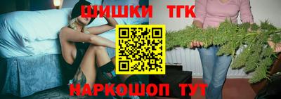 сатива Краснознаменск