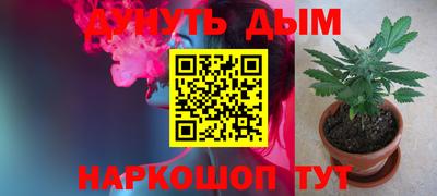 сатива Краснознаменск