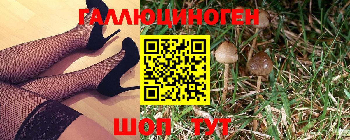 Избербаш  Галлюциногенные грибы Magic Shrooms  Псилоцибиновые грибы мицелий  Вход с VPN 